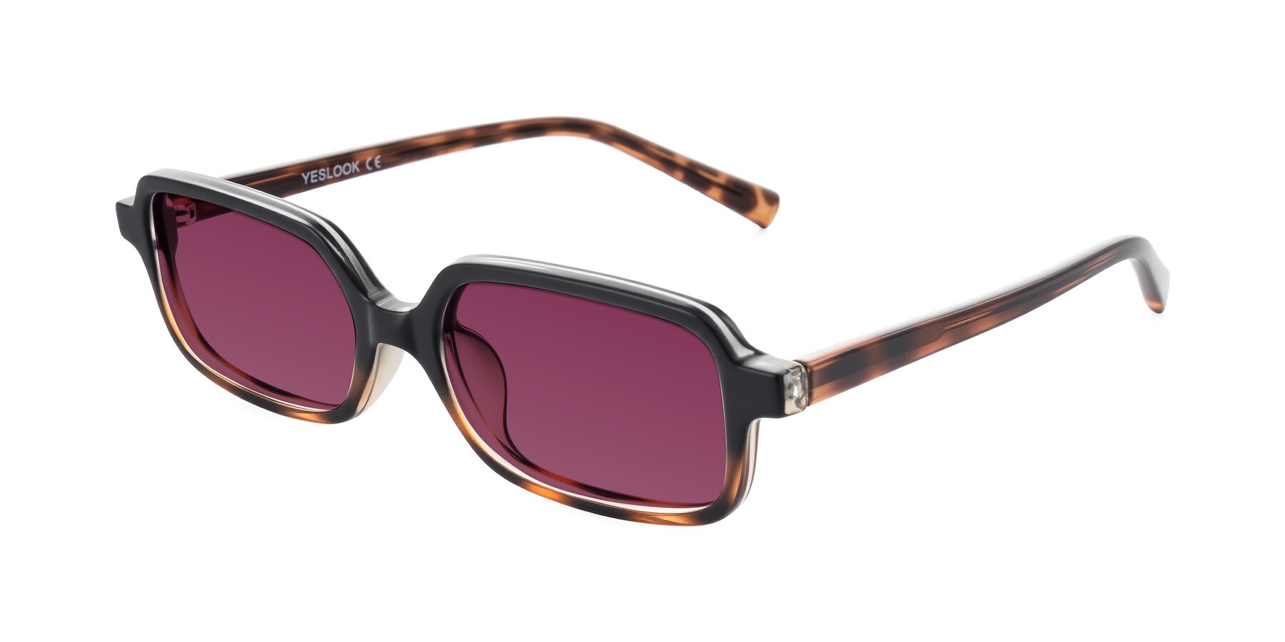 Angle of Garbott in Black/Tortoise with Wine Tinted Lenses