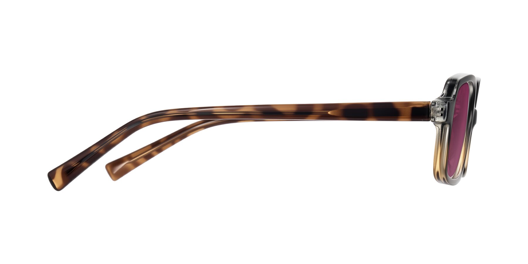Side of Garbott in Black/Tortoise with Wine Tinted Lenses