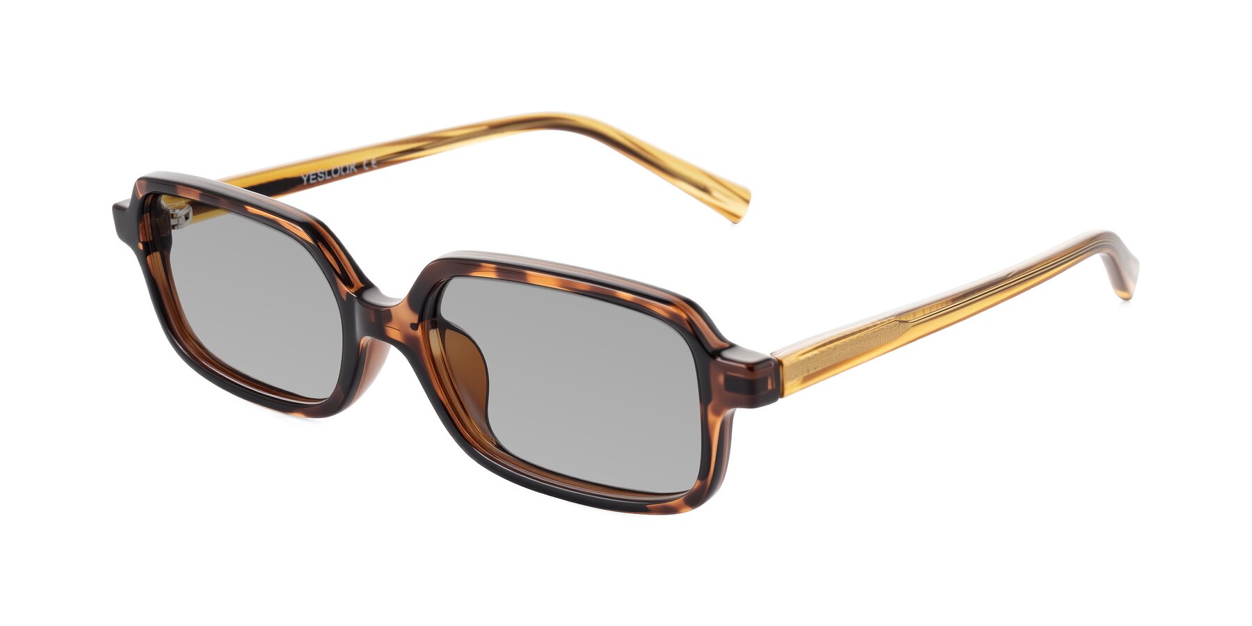 Angle of Garbott in Tortoise/Amber with Light Gray Tinted Lenses