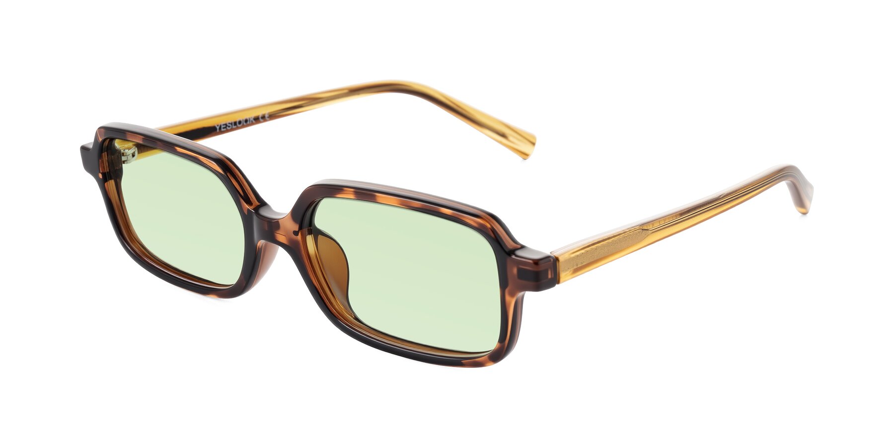 Angle of Garbott in Tortoise/Amber with Light Green Tinted Lenses