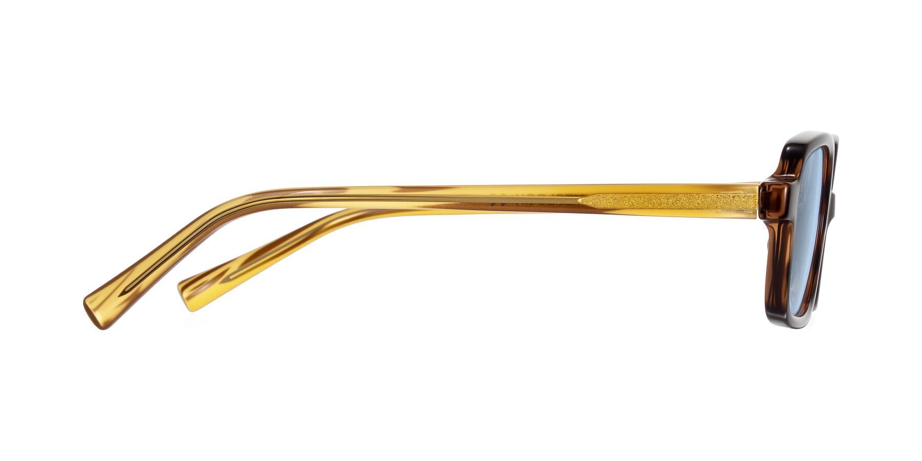 Side of Garbott in Tortoise/Amber with Light Blue Tinted Lenses