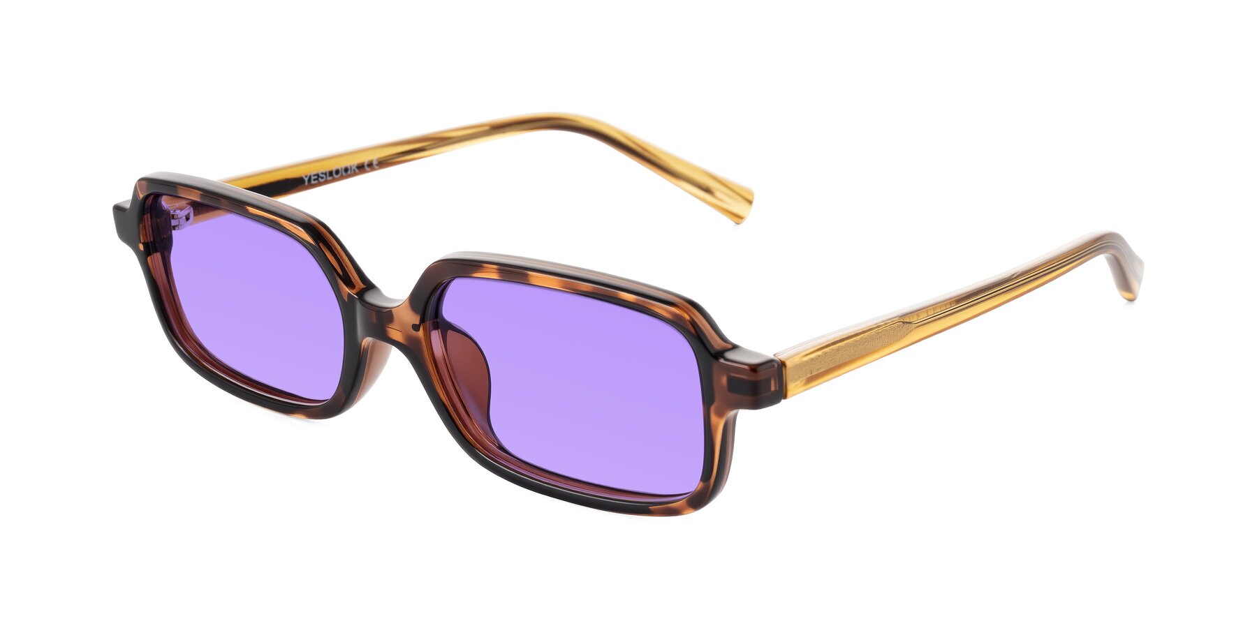 Angle of Garbott in Tortoise/Amber with Medium Purple Tinted Lenses
