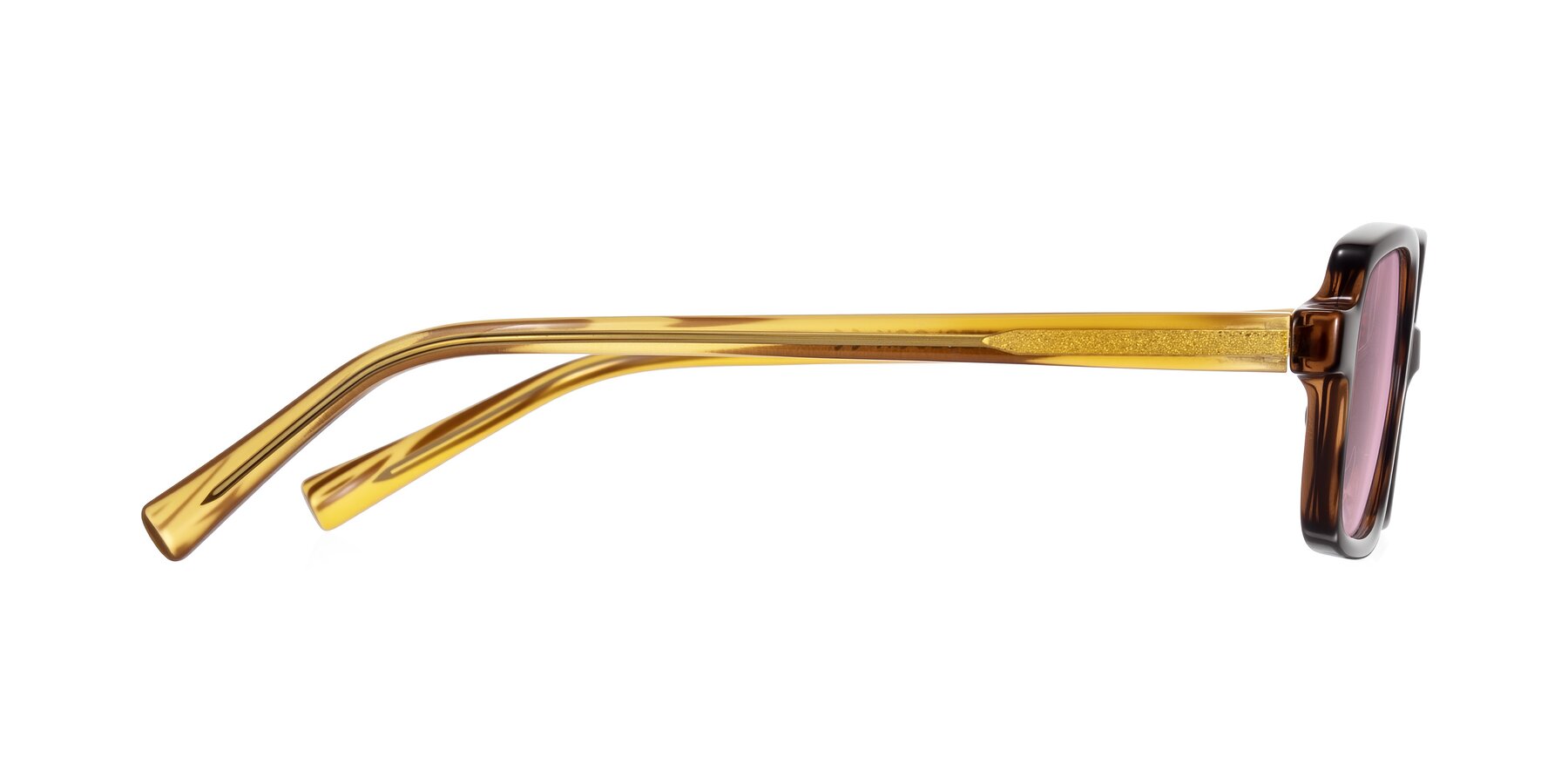 Side of Garbott in Tortoise/Amber with Light Wine Tinted Lenses