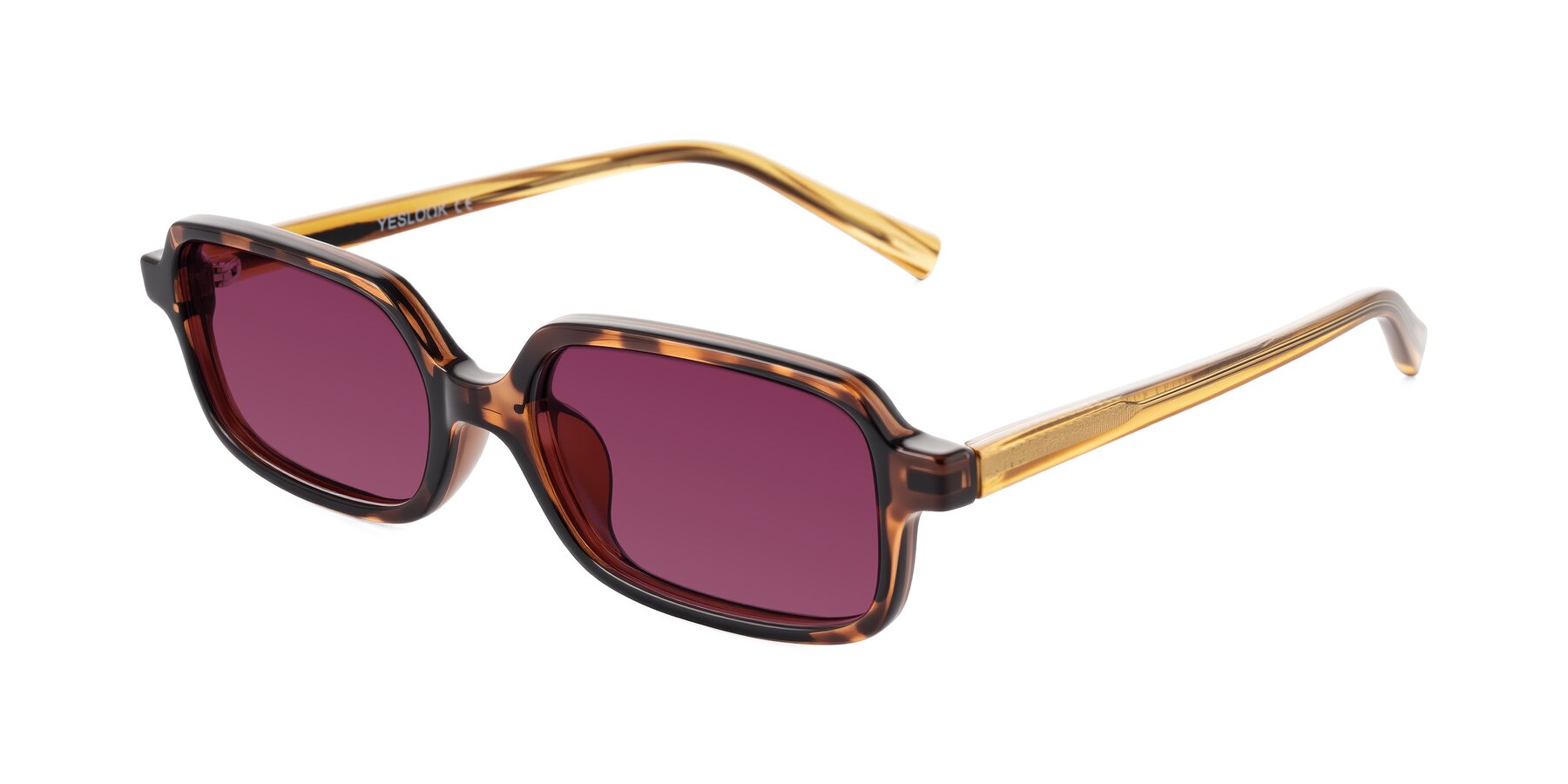 Angle of Garbott in Tortoise/Amber with Wine Tinted Lenses