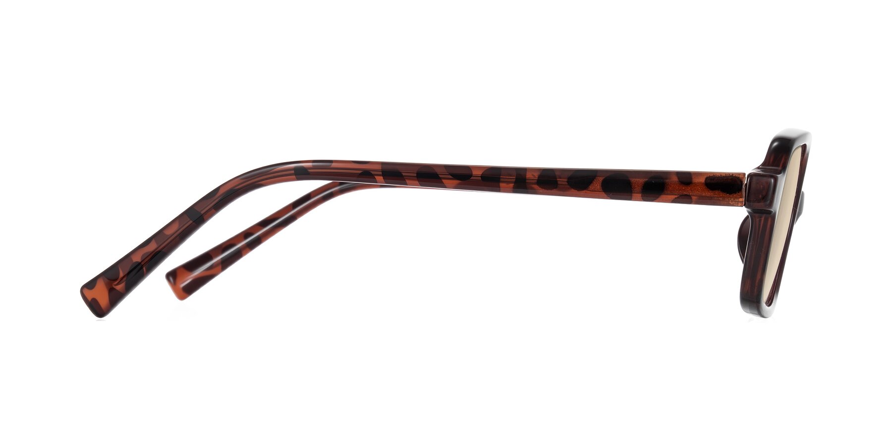 Side of Garbott in Leopard-Print with Light Brown Tinted Lenses