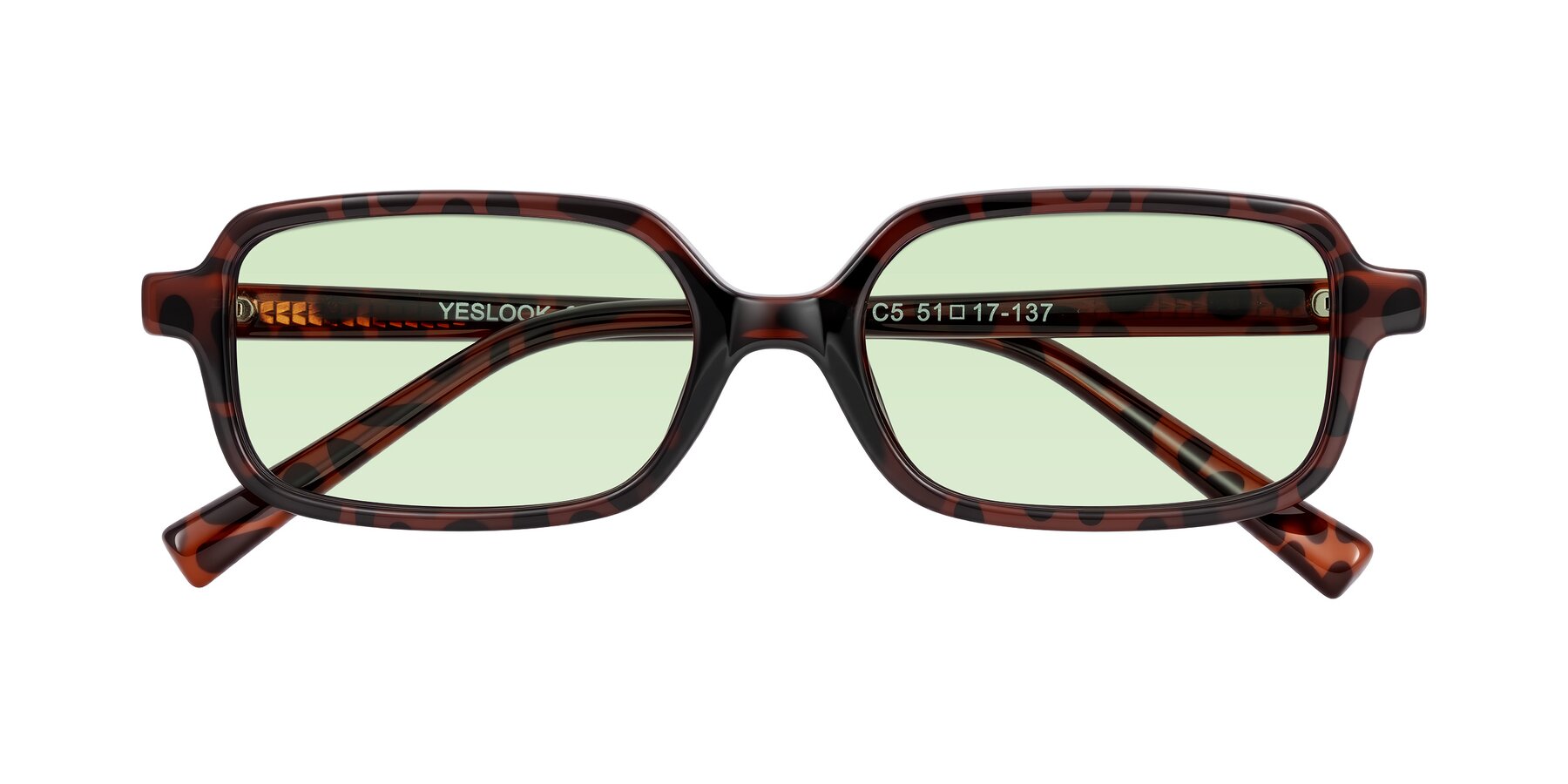 Folded Front of Garbott in Leopard-Print with Light Green Tinted Lenses