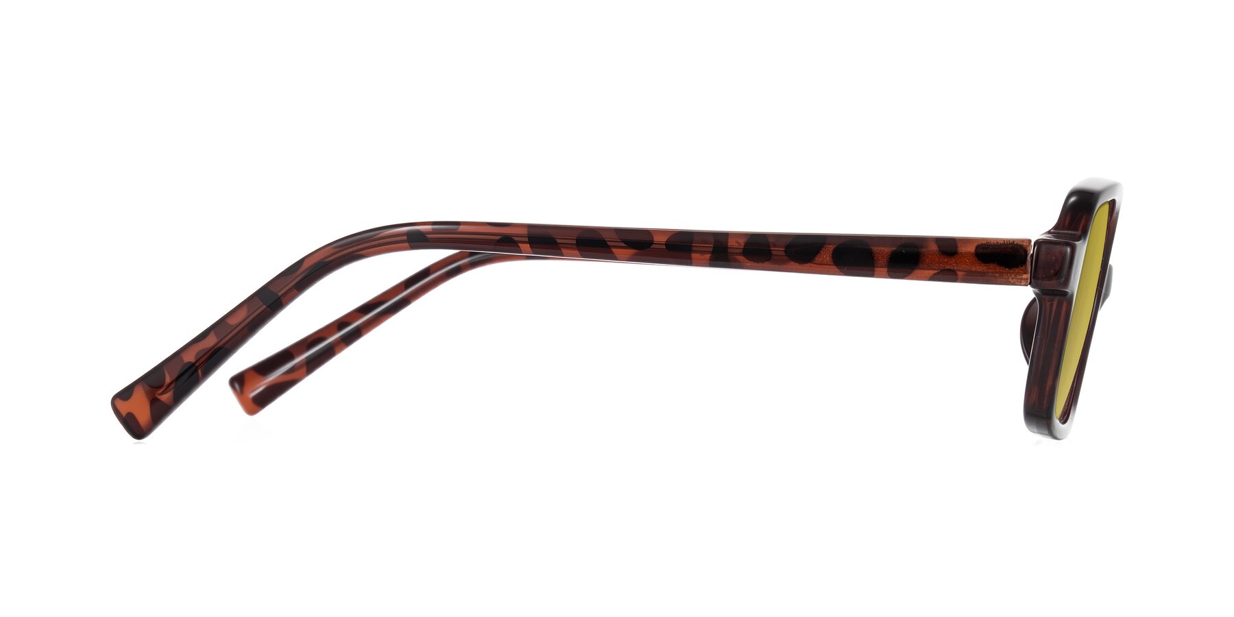 Side of Garbott in Leopard-Print with Champagne Tinted Lenses