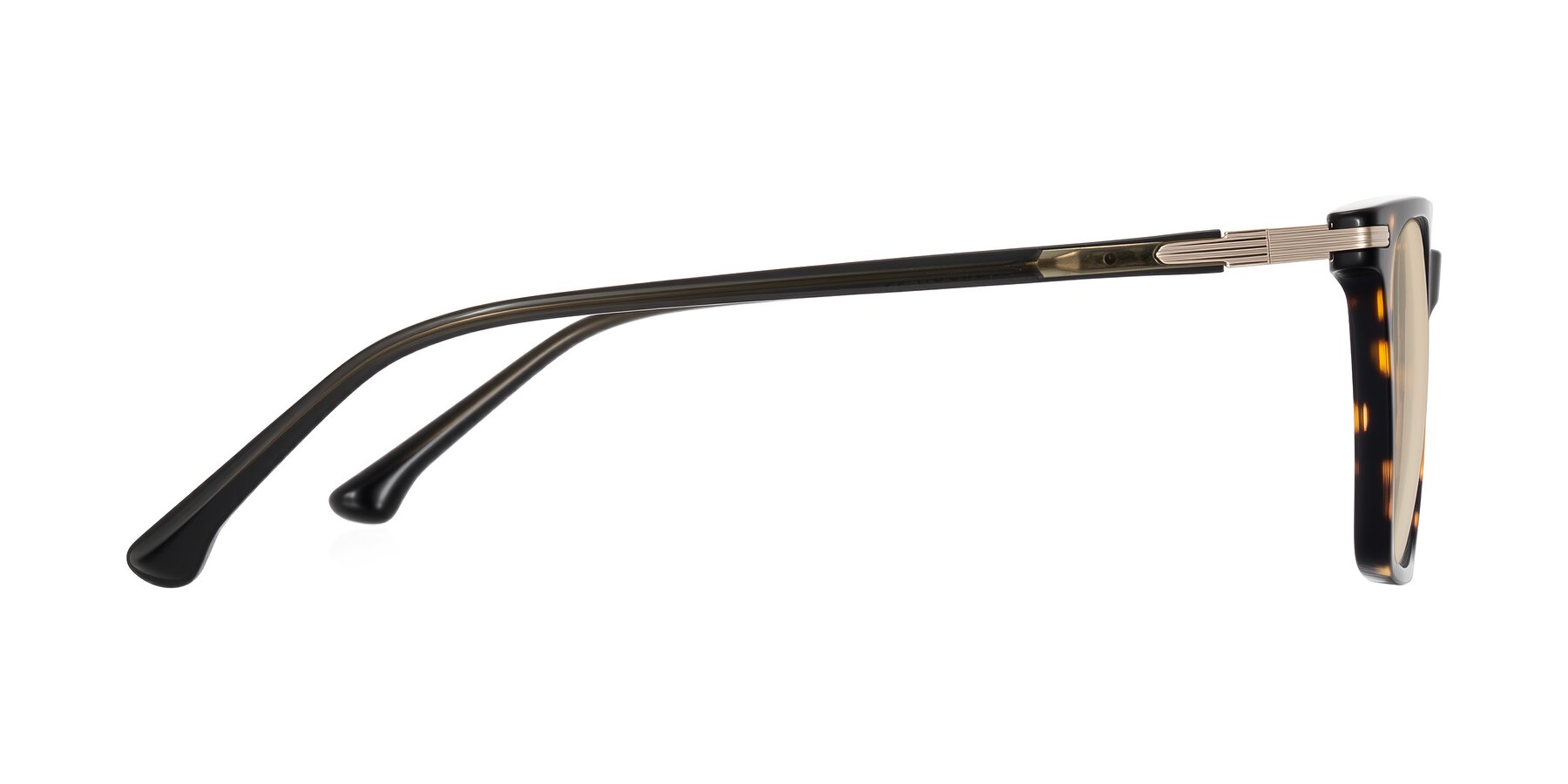 Side of Miyaha in Tortoise with Light Brown Tinted Lenses