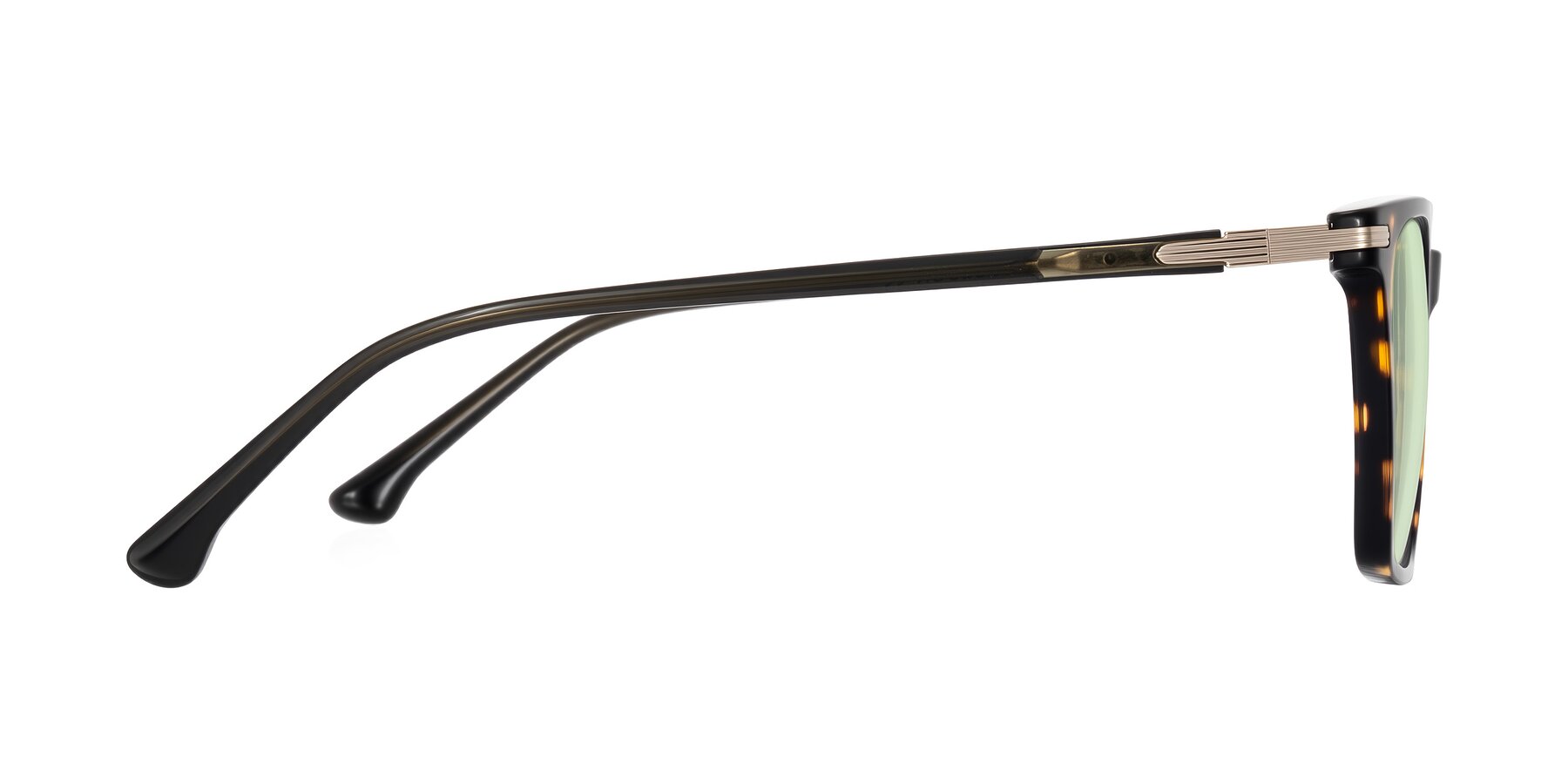 Side of Miyaha in Tortoise with Light Green Tinted Lenses
