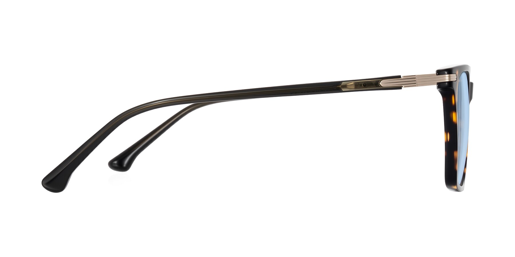 Side of Miyaha in Tortoise with Light Blue Tinted Lenses
