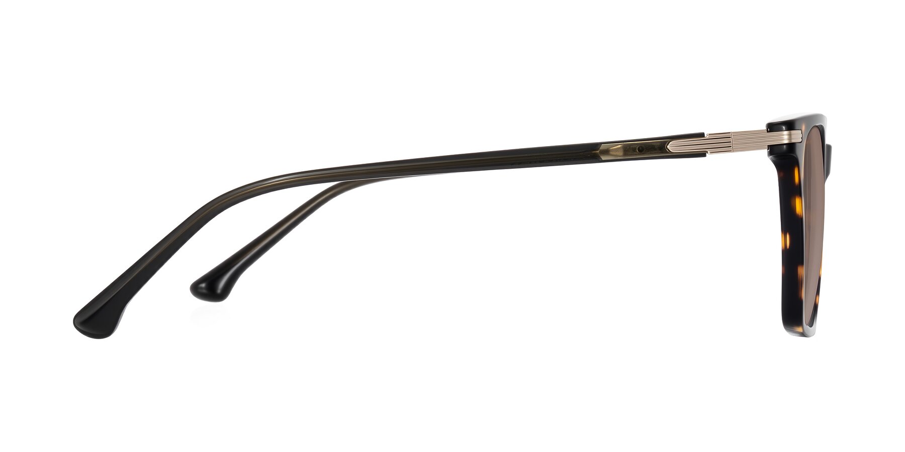 Side of Miyaha in Tortoise with Medium Brown Tinted Lenses