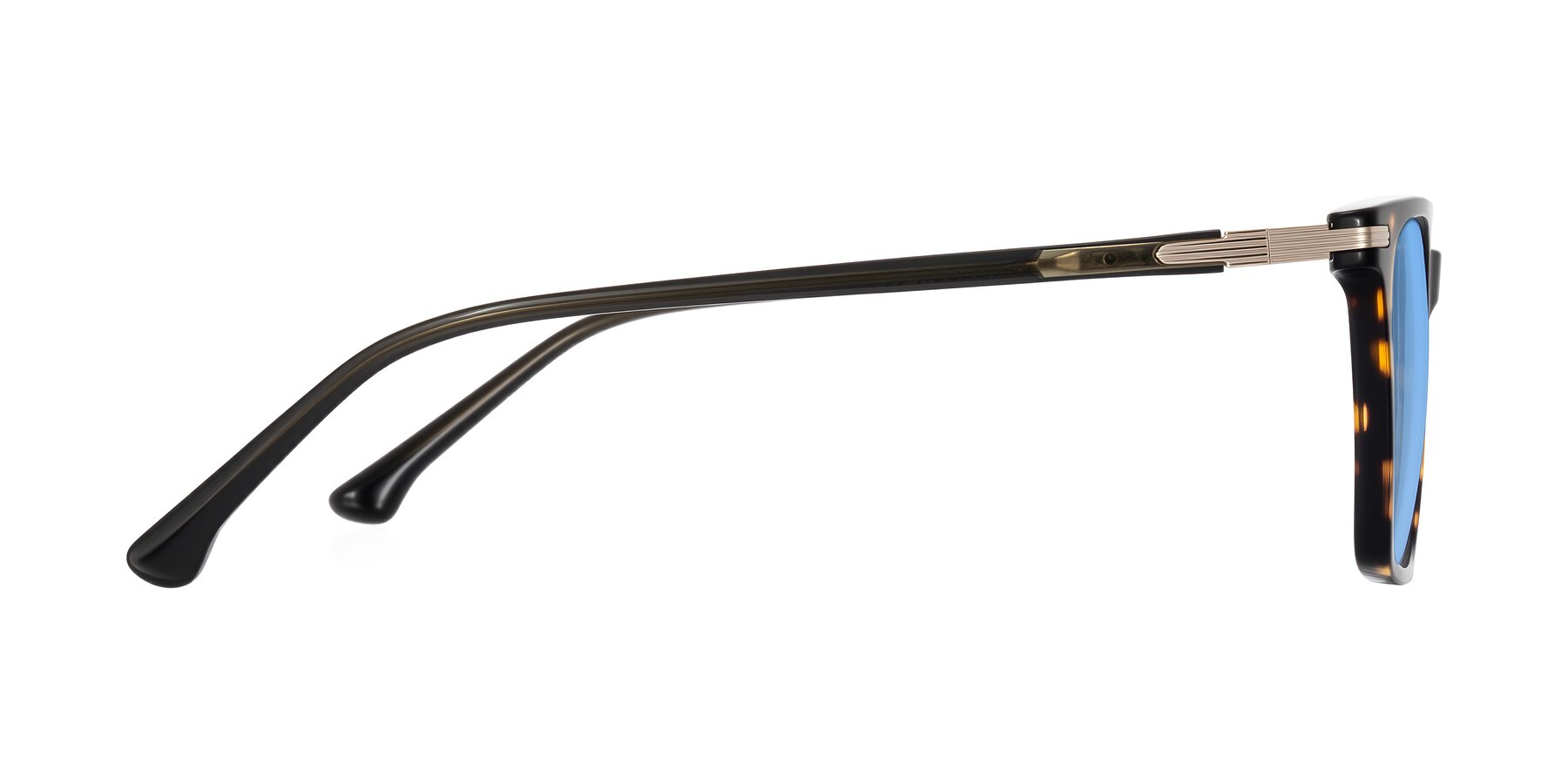 Side of Miyaha in Tortoise with Medium Blue Tinted Lenses