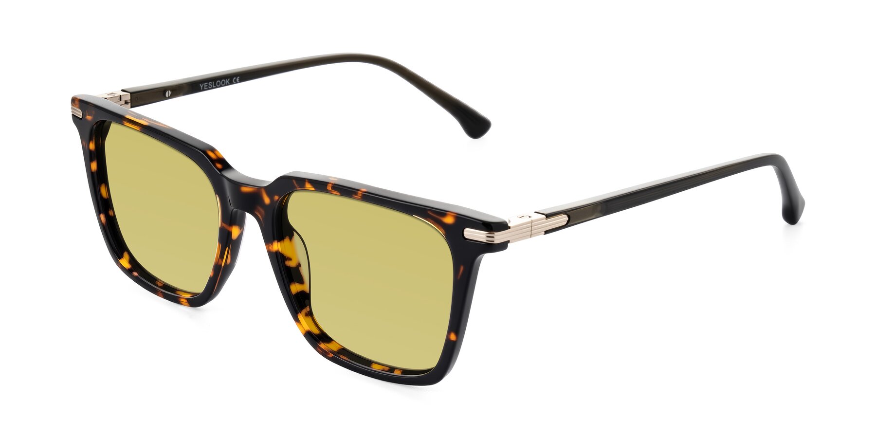 Angle of Miyaha in Tortoise with Medium Champagne Tinted Lenses