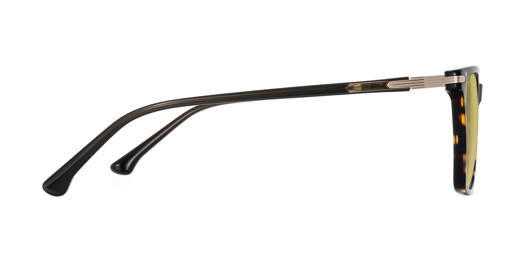 Side of Miyaha in Tortoise with Medium Champagne Tinted Lenses