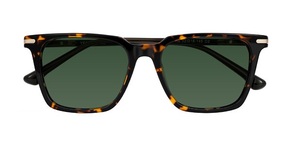Front of Miyaha in Tortoise