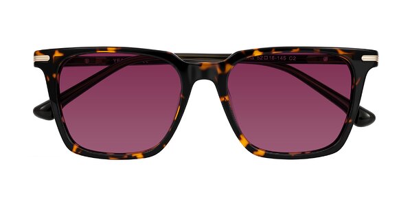 Front of Miyaha in Tortoise