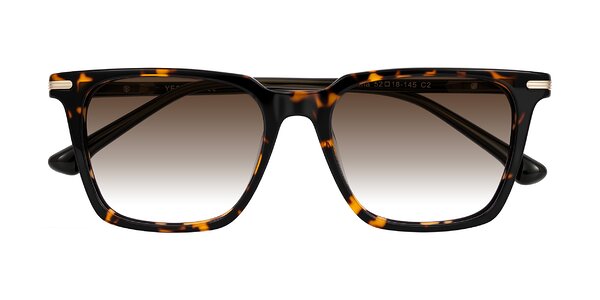 Front of Miyaha in Tortoise