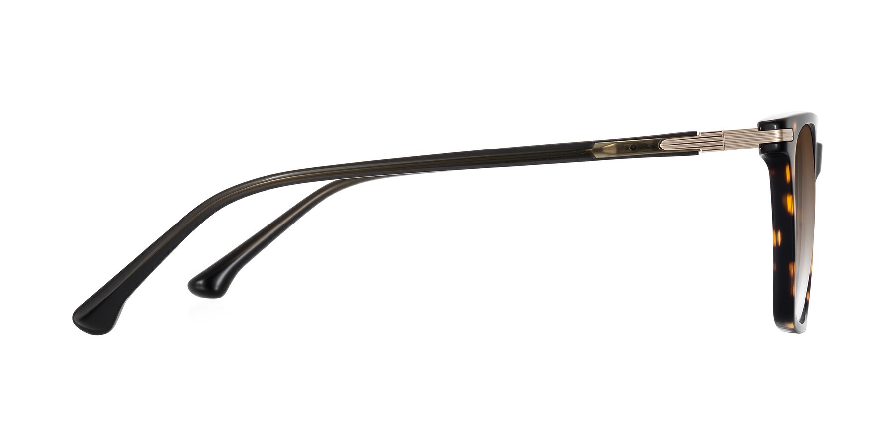 Side of Miyaha in Tortoise with Brown Gradient Lenses