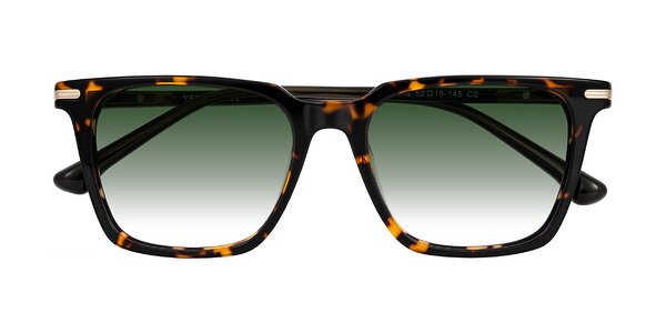 Front of Miyaha in Tortoise