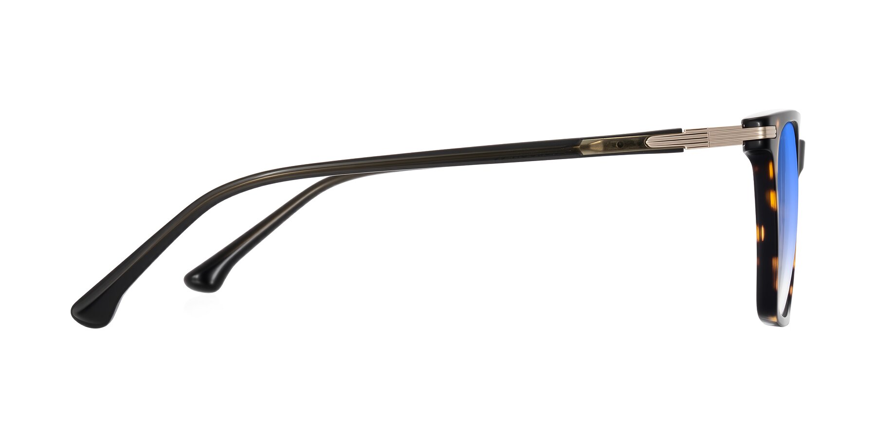 Side of Miyaha in Tortoise with Blue Gradient Lenses