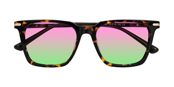 Front of Miyaha in Tortoise