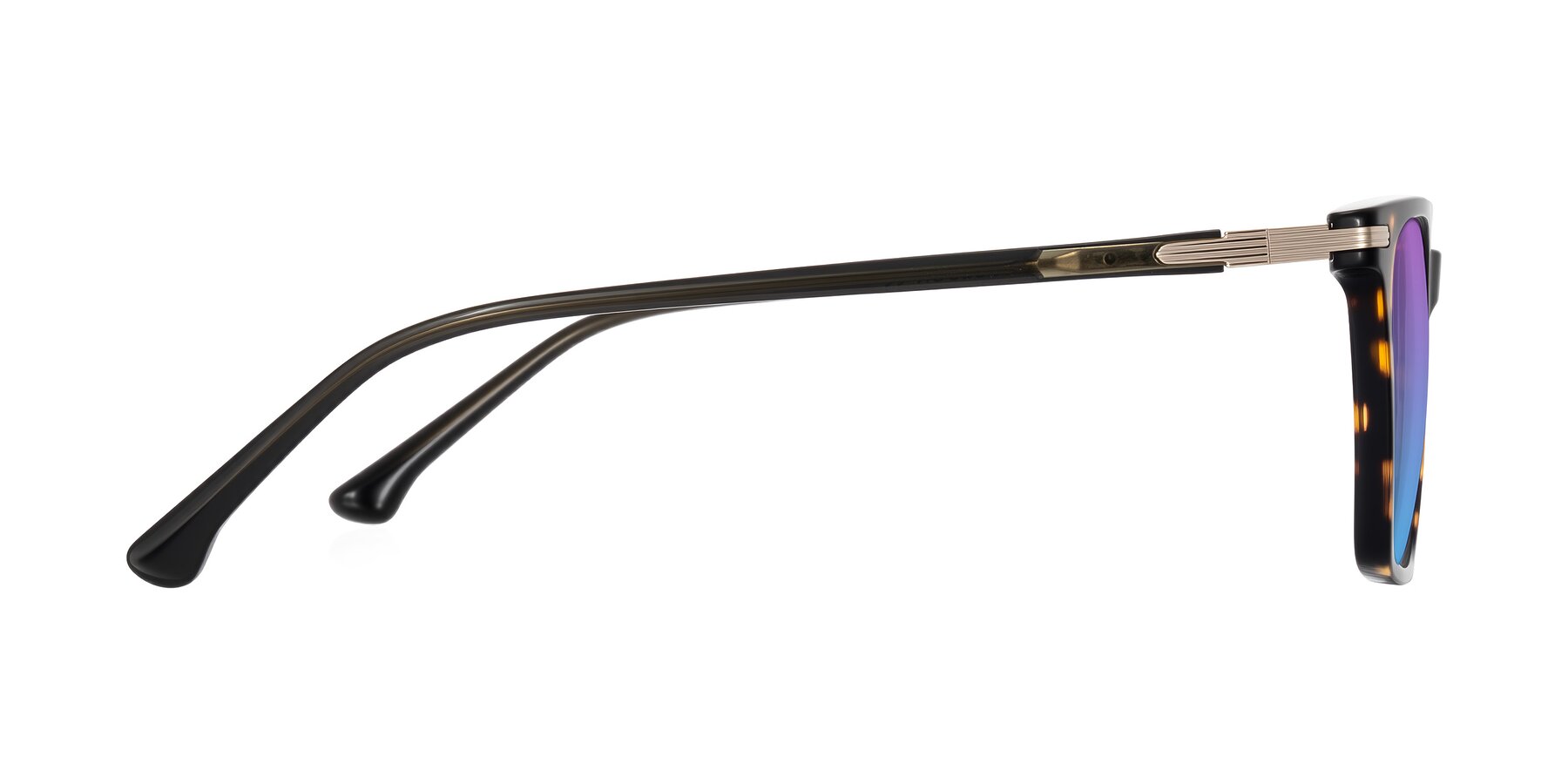 Side of Miyaha in Tortoise with Purple / Blue Gradient Lenses