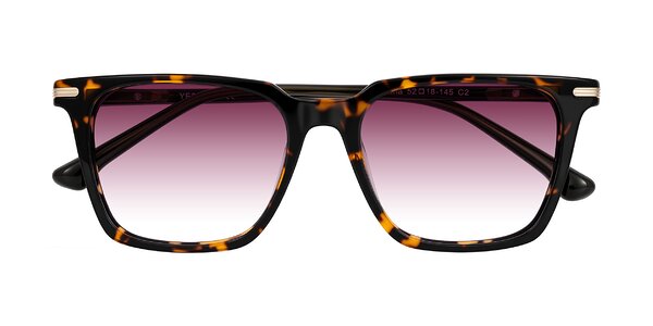 Front of Miyaha in Tortoise