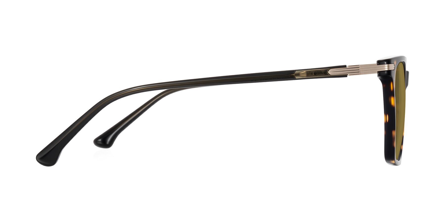 Side of Miyaha in Tortoise with Brown Polarized Lenses