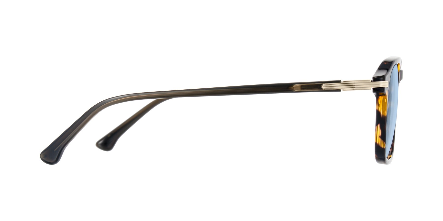 Side of Tlaho in Tortoise with Light Blue Tinted Lenses