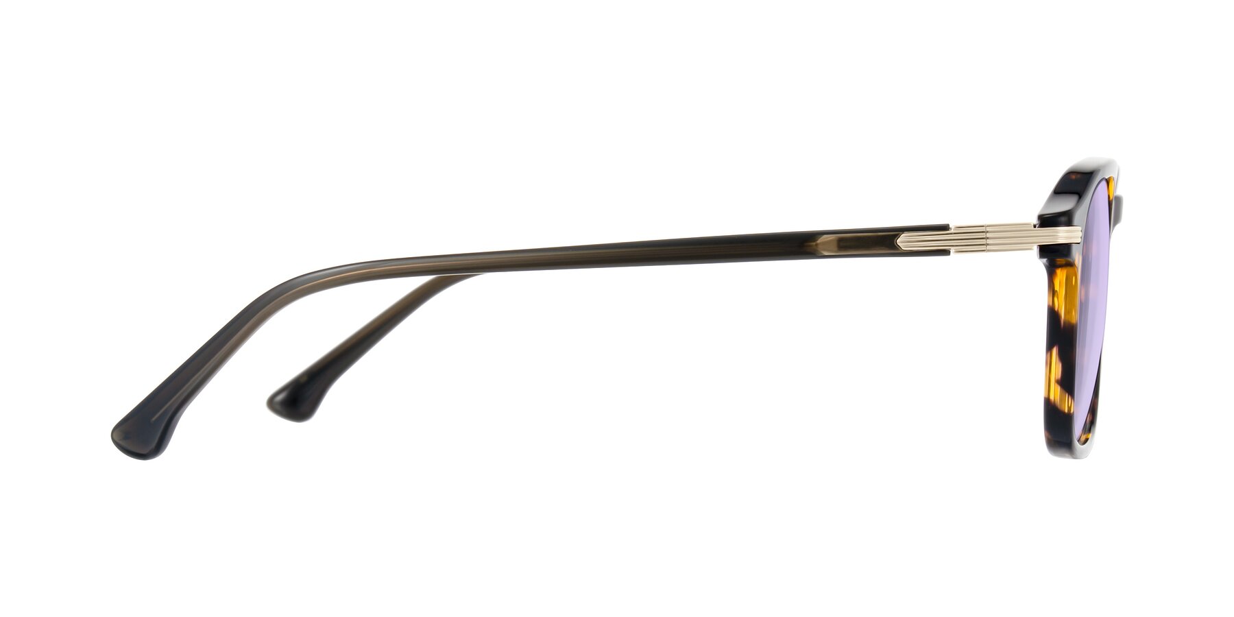 Side of Tlaho in Tortoise with Light Purple Tinted Lenses