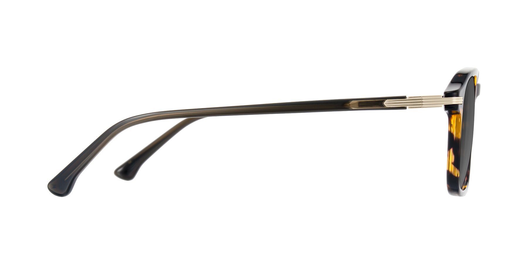 Side of Tlaho in Tortoise with Medium Gray Tinted Lenses