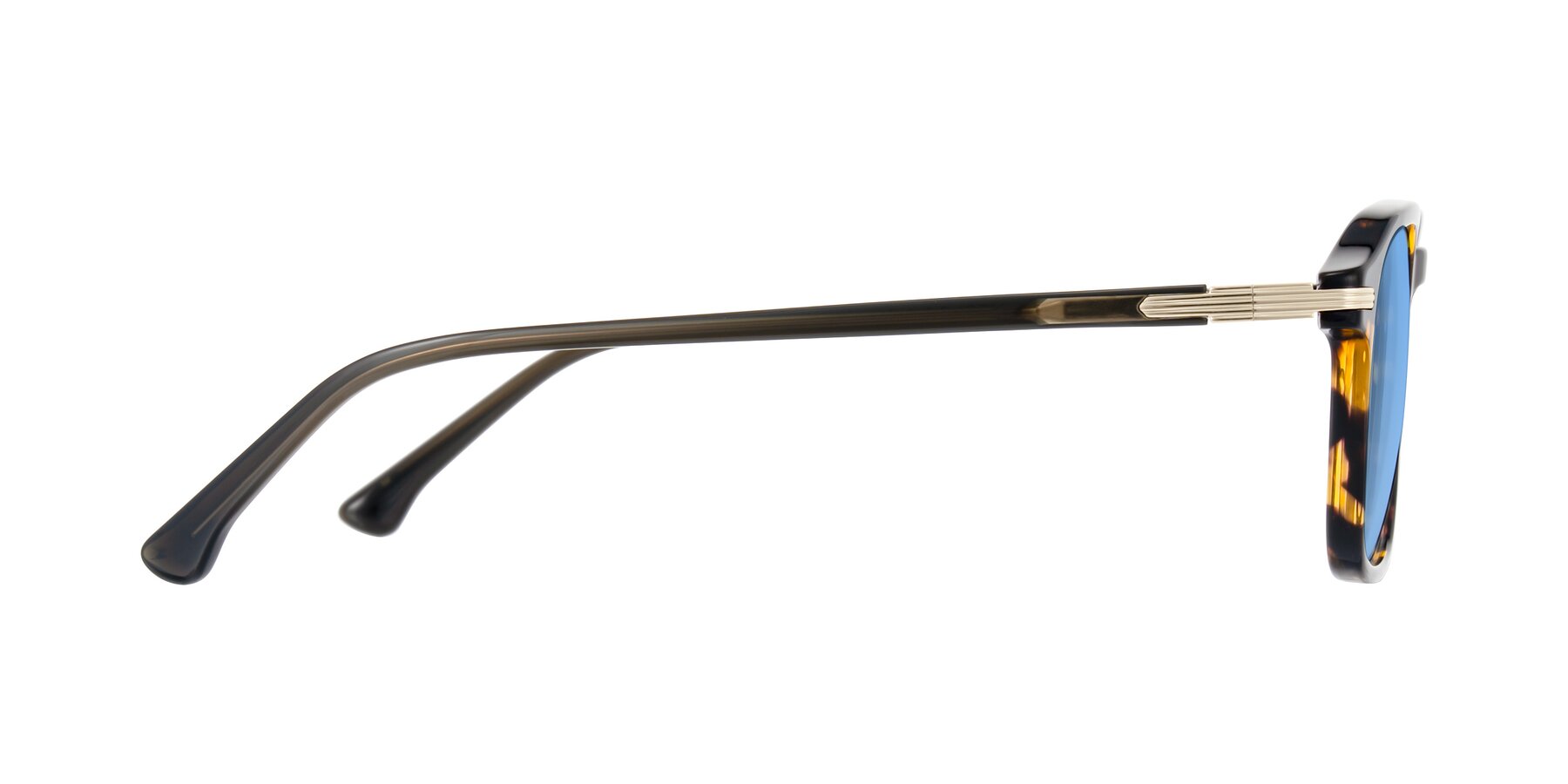 Side of Tlaho in Tortoise with Medium Blue Tinted Lenses