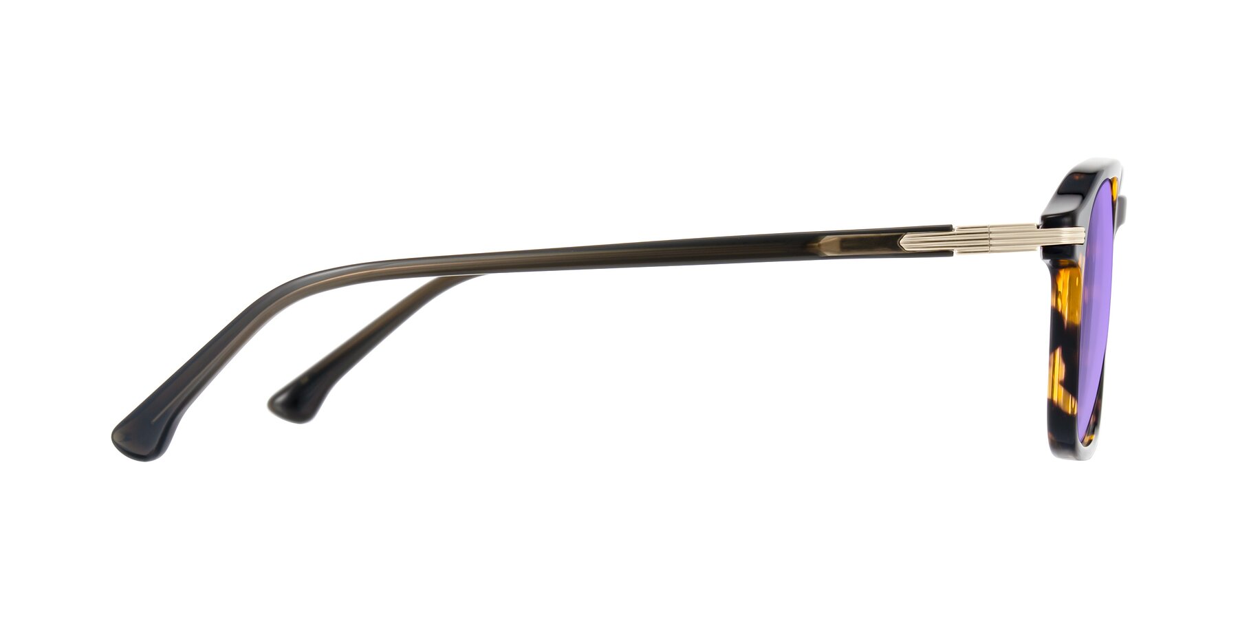 Side of Tlaho in Tortoise with Medium Purple Tinted Lenses