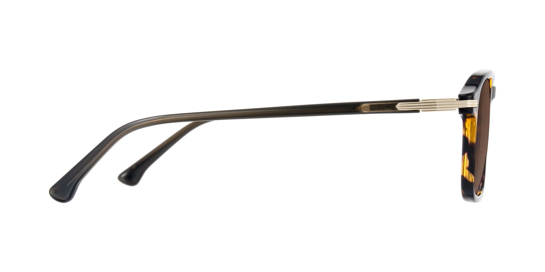 Side of Tlaho in Tortoise with Brown Tinted Lenses