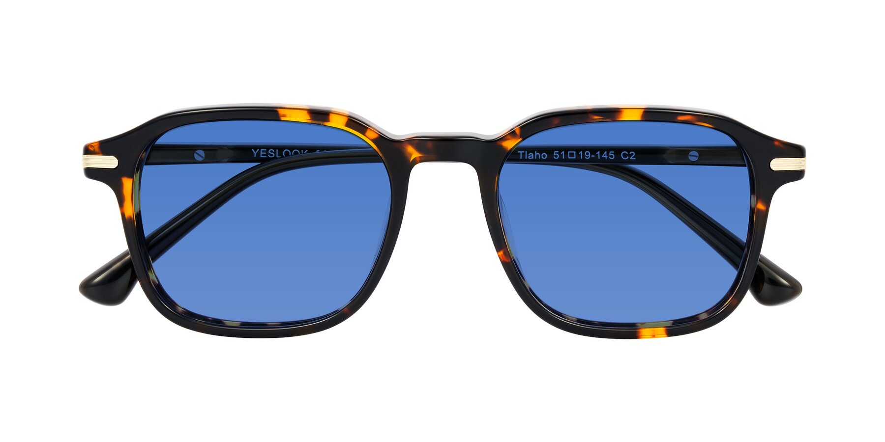Folded Front of Tlaho in Tortoise with Blue Tinted Lenses