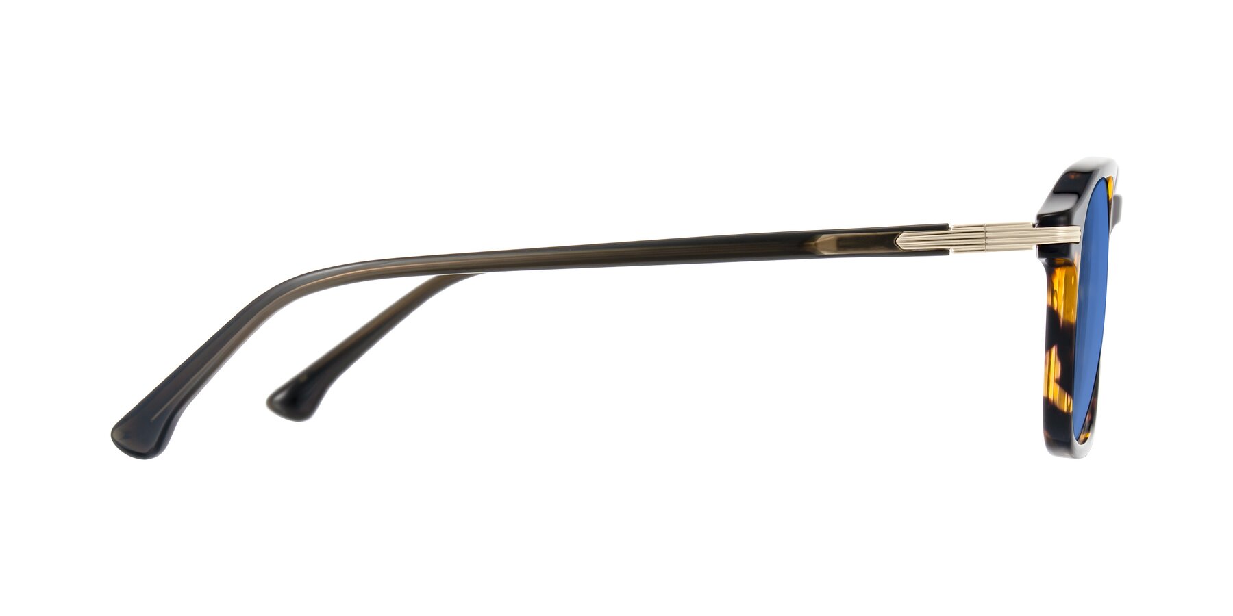 Side of Tlaho in Tortoise with Blue Tinted Lenses