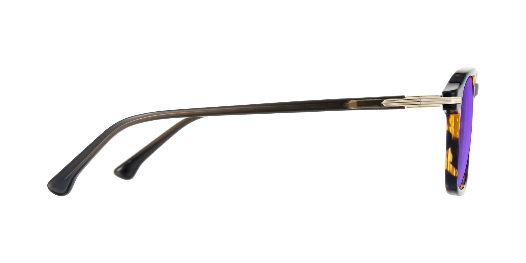 Side of Tlaho in Tortoise with Purple Tinted Lenses