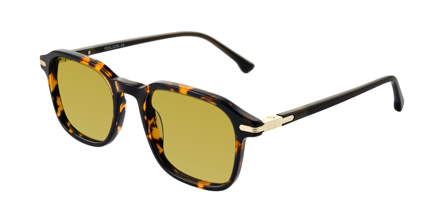 Angle of Tlaho in Tortoise with Champagne Tinted Lenses
