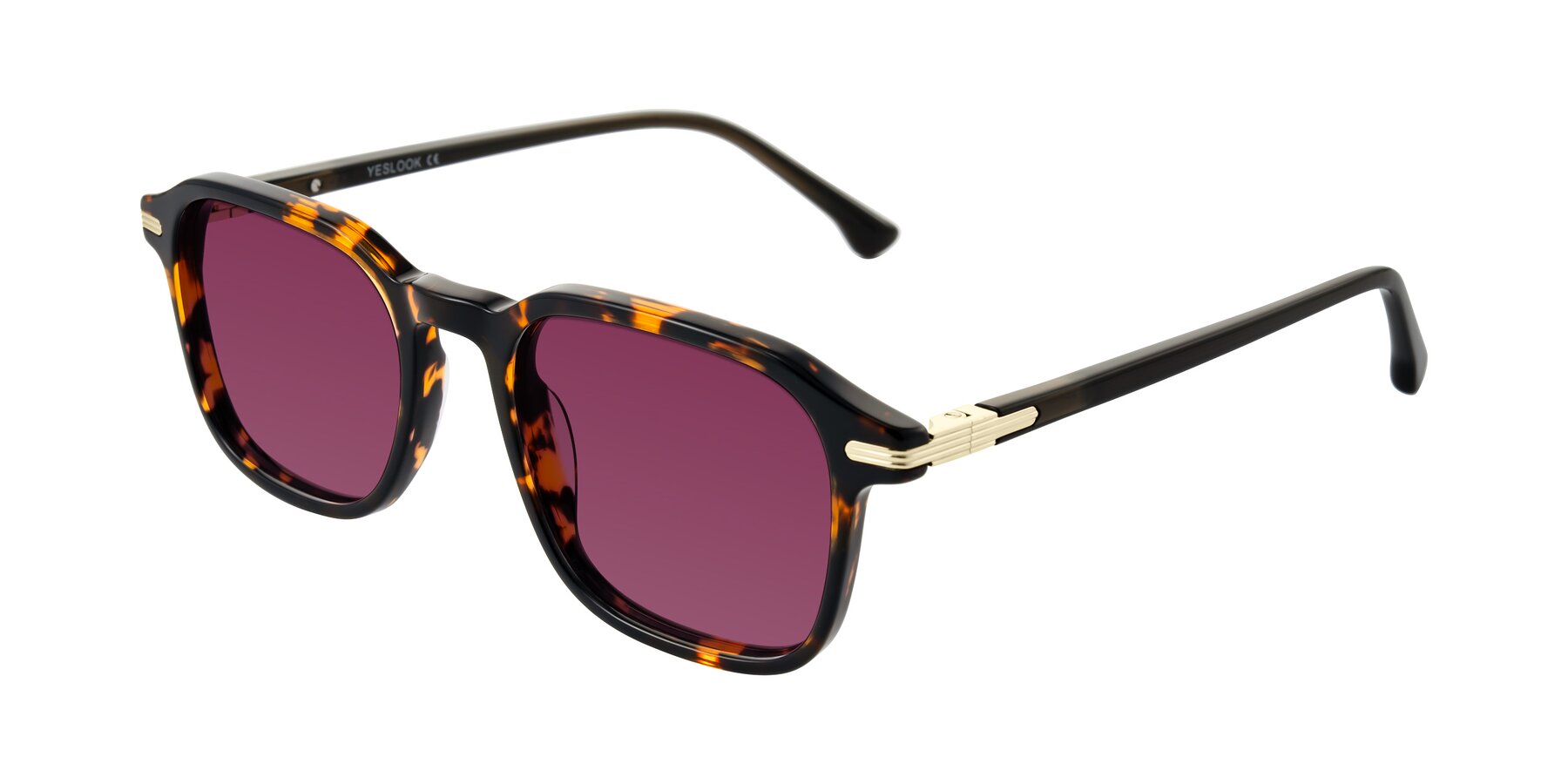 Angle of Tlaho in Tortoise with Wine Tinted Lenses