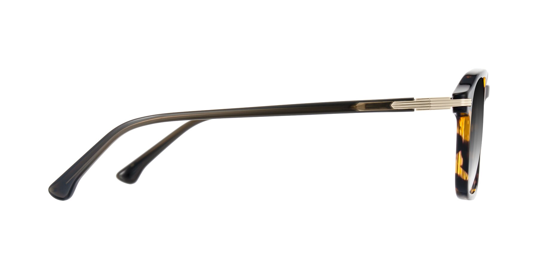 Side of Tlaho in Tortoise with Gray Gradient Lenses