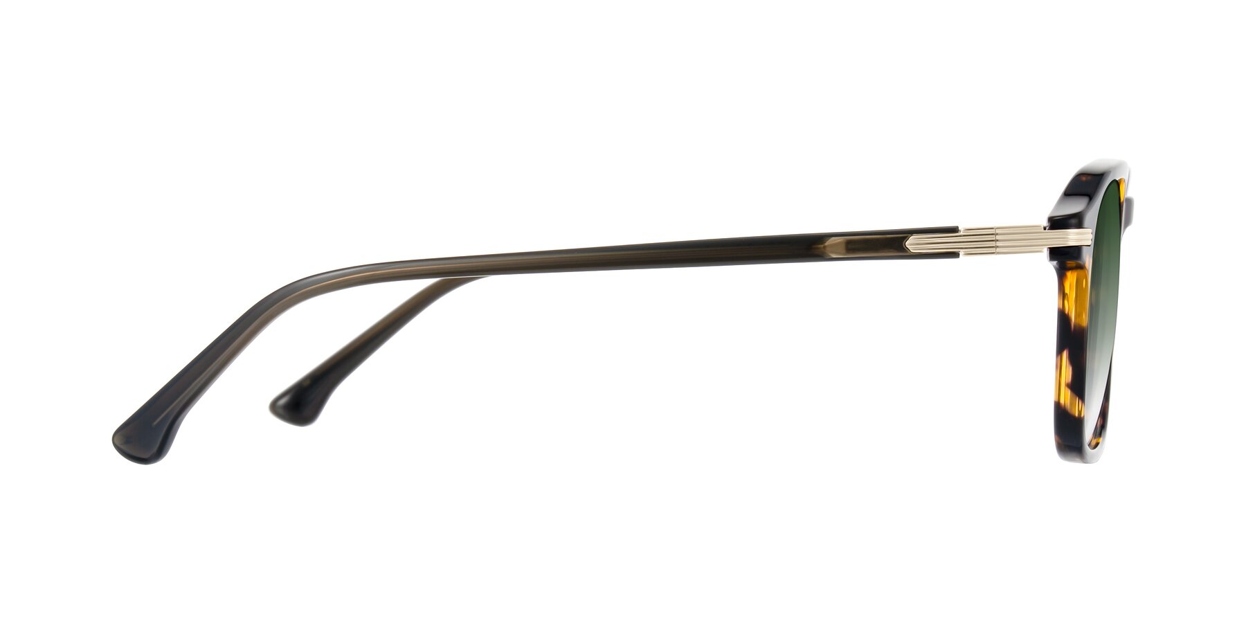 Side of Tlaho in Tortoise with Green Gradient Lenses