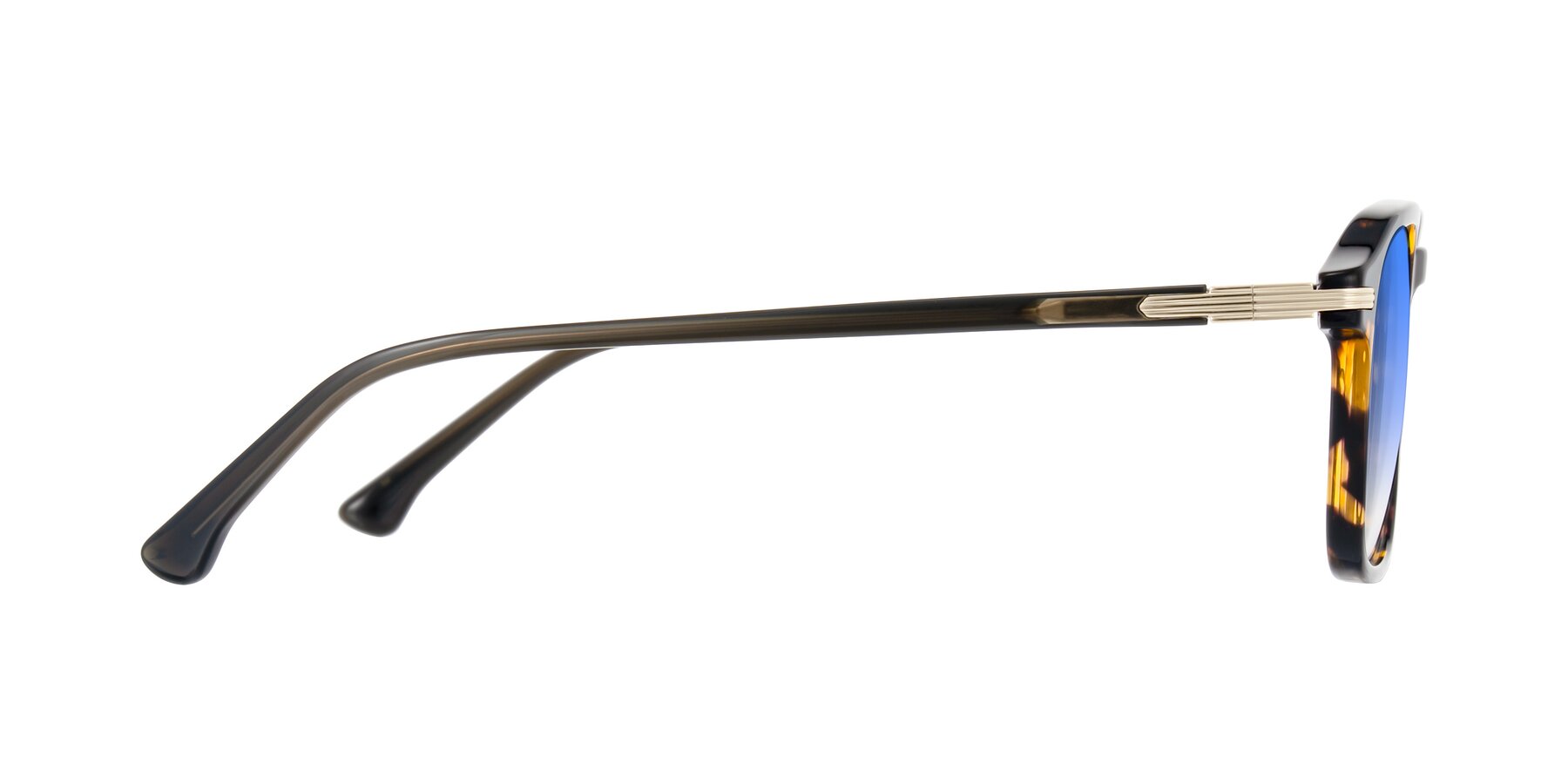 Side of Tlaho in Tortoise with Blue Gradient Lenses