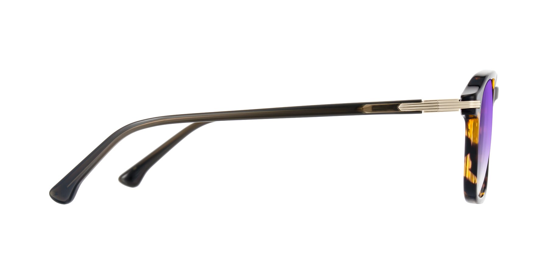 Side of Tlaho in Tortoise with Purple Gradient Lenses