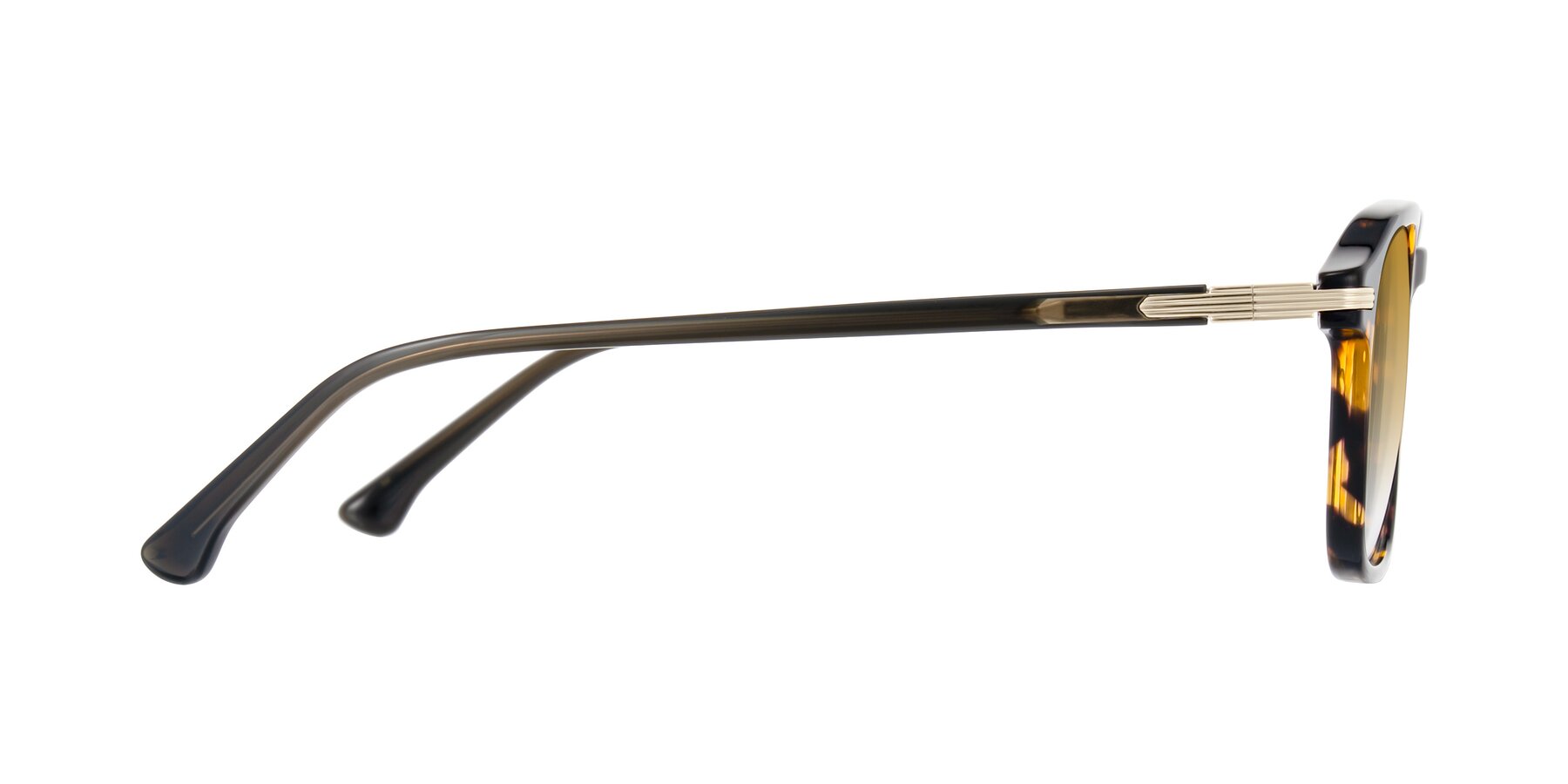 Side of Tlaho in Tortoise with Champagne Gradient Lenses