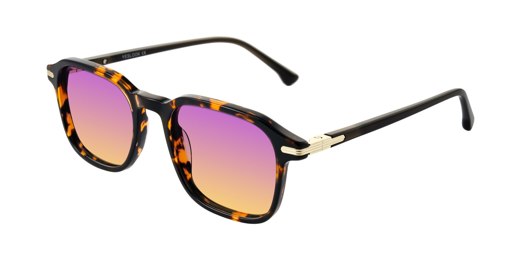 Angle of Tlaho in Tortoise with Purple / Yellow Gradient Lenses