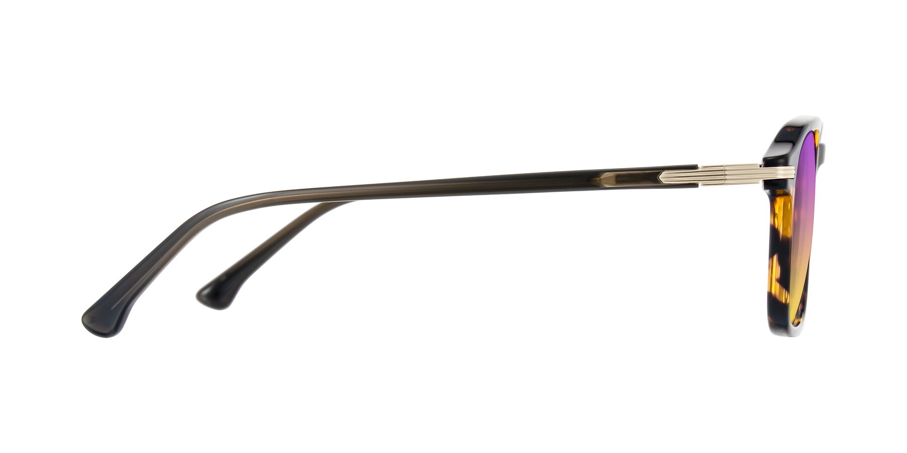 Side of Tlaho in Tortoise with Purple / Yellow Gradient Lenses
