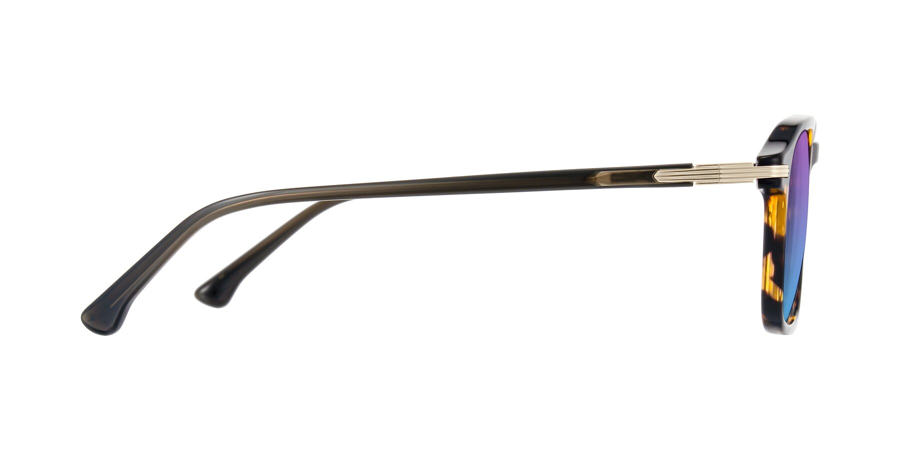 Side of Tlaho in Tortoise with Purple / Blue Gradient Lenses