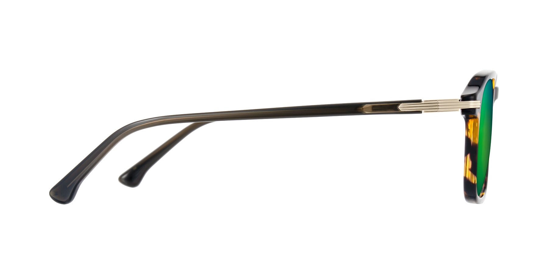 Side of Tlaho in Tortoise with Green Mirrored Lenses