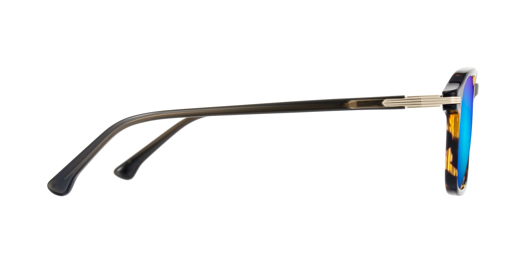 Side of Tlaho in Tortoise with Blue Mirrored Lenses