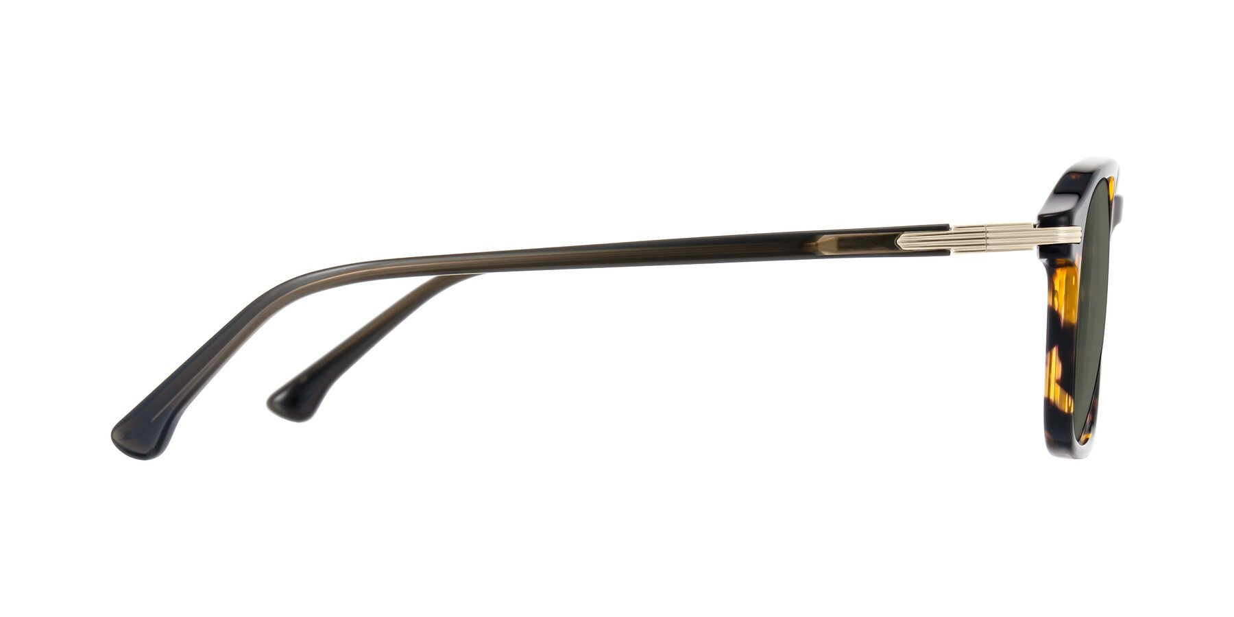 Side of Tlaho in Tortoise with Gray Polarized Lenses